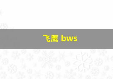 飞鹰 bws